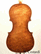 violino Gasparo Da Salo